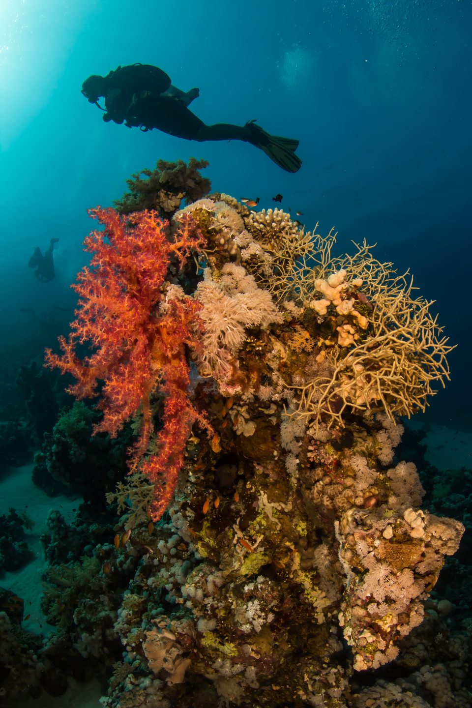 Dive site photo