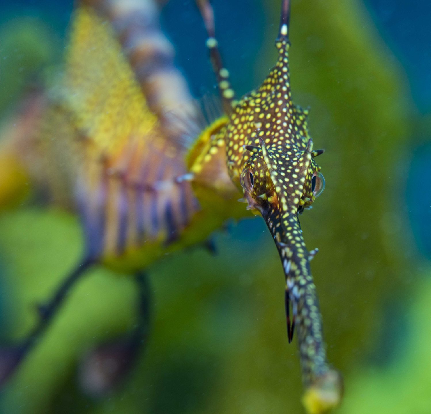 Dive site photo