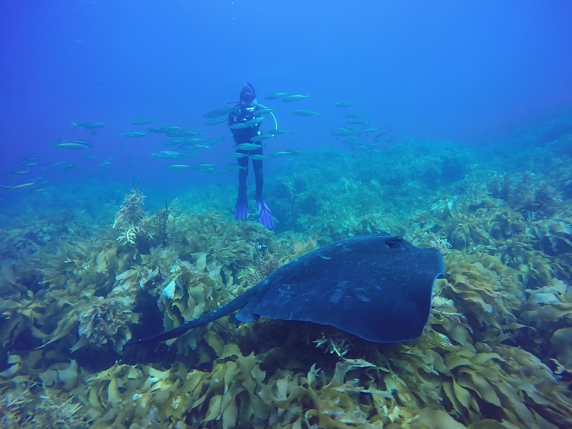 Dive site photo