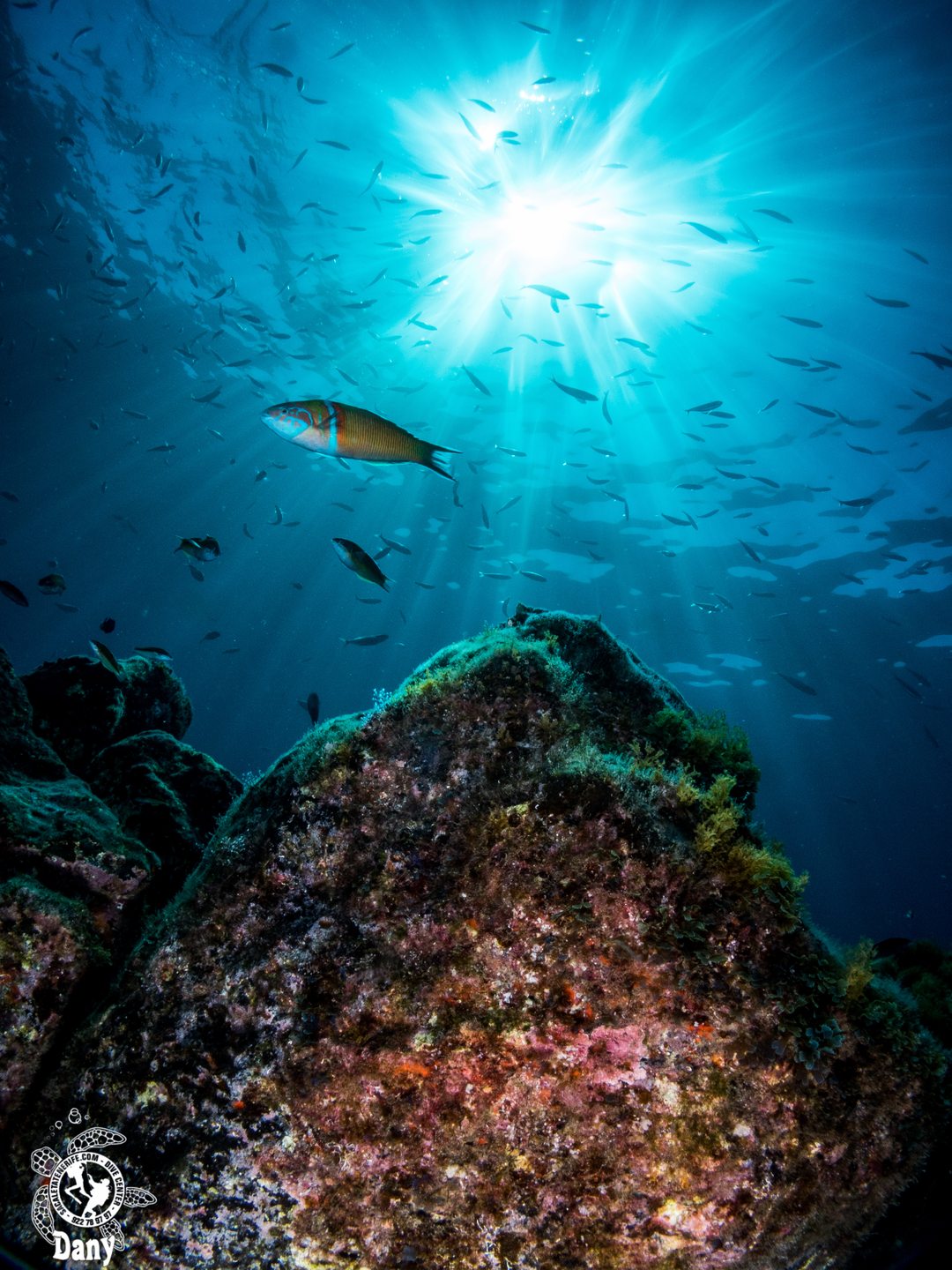 Dive site photo