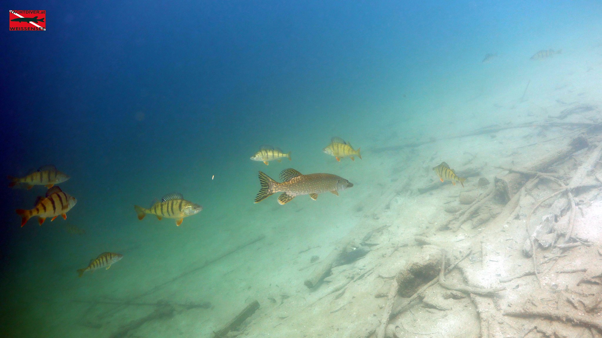 Dive site photo
