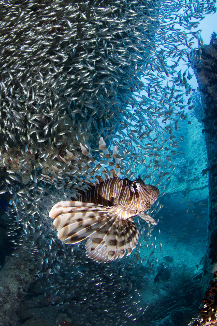 Dive site photo