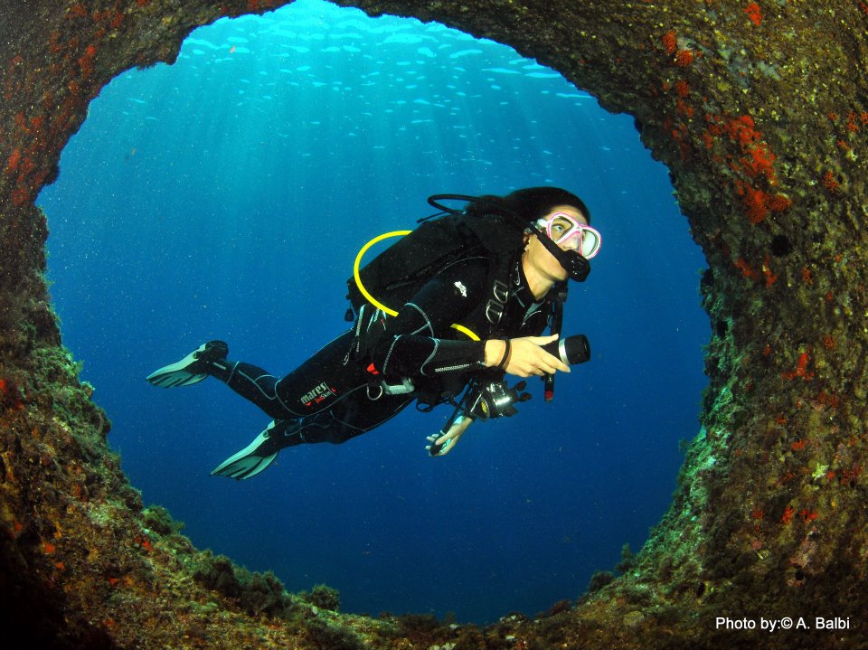 Nereo Cave & Arches of Nereo dive site PADI