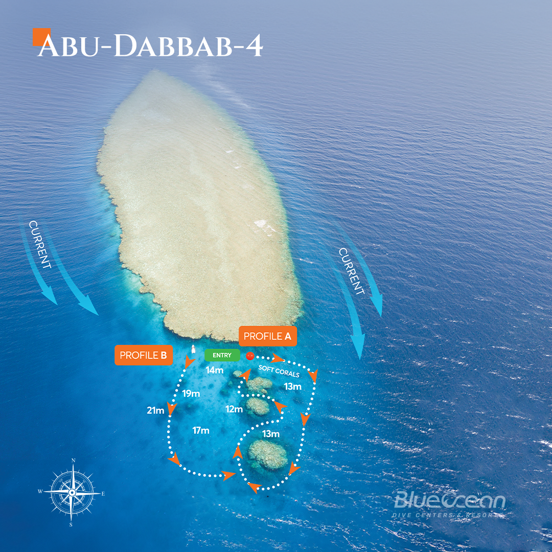 Abu Dabbab 4
