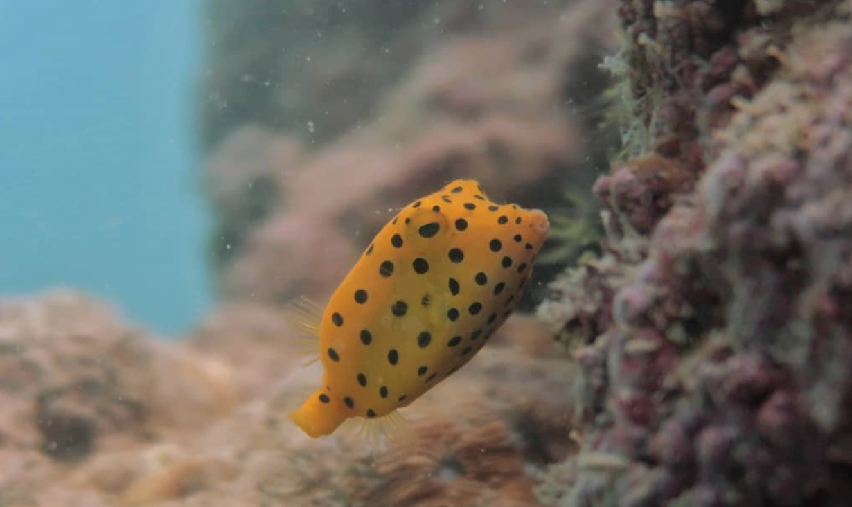 Dive site photo