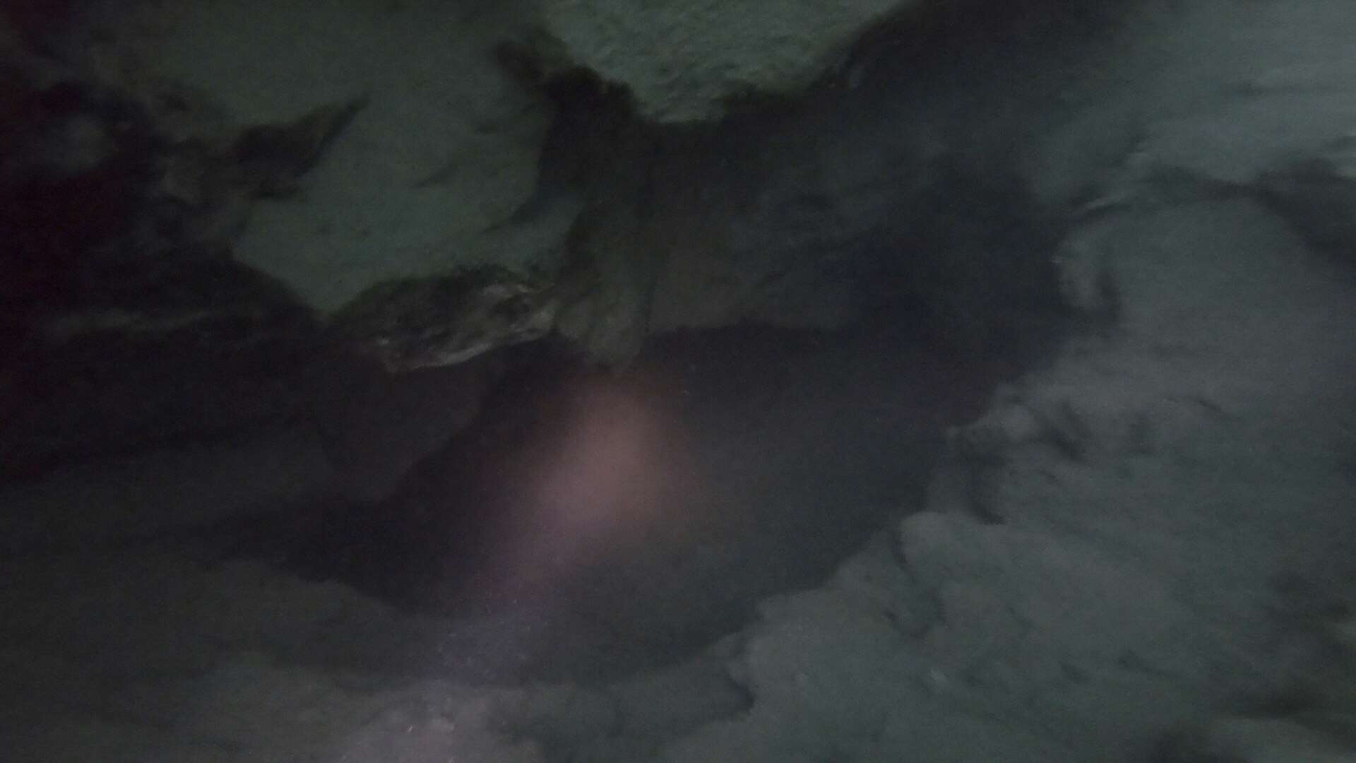Dive site photo