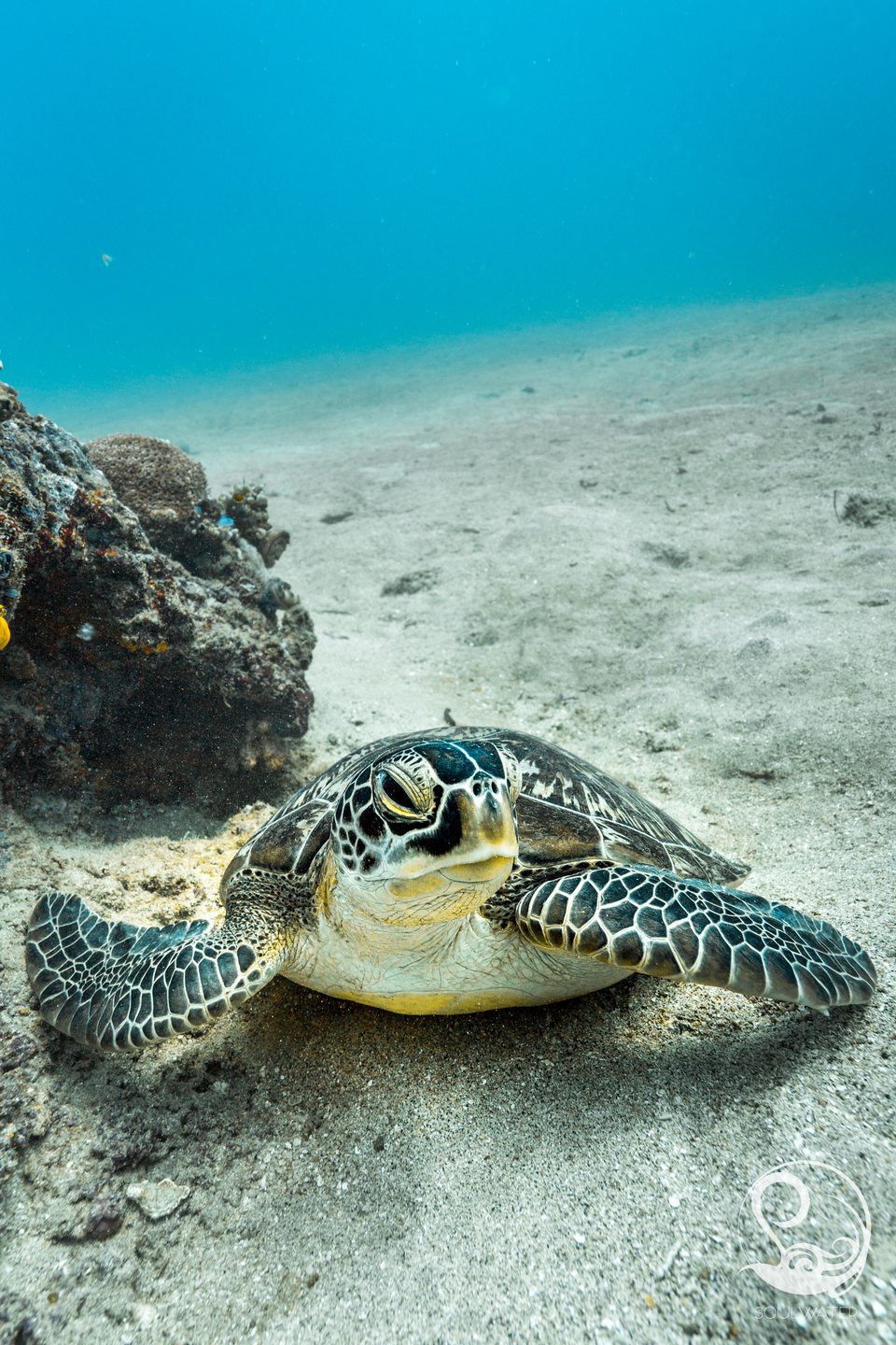 Dive site photo