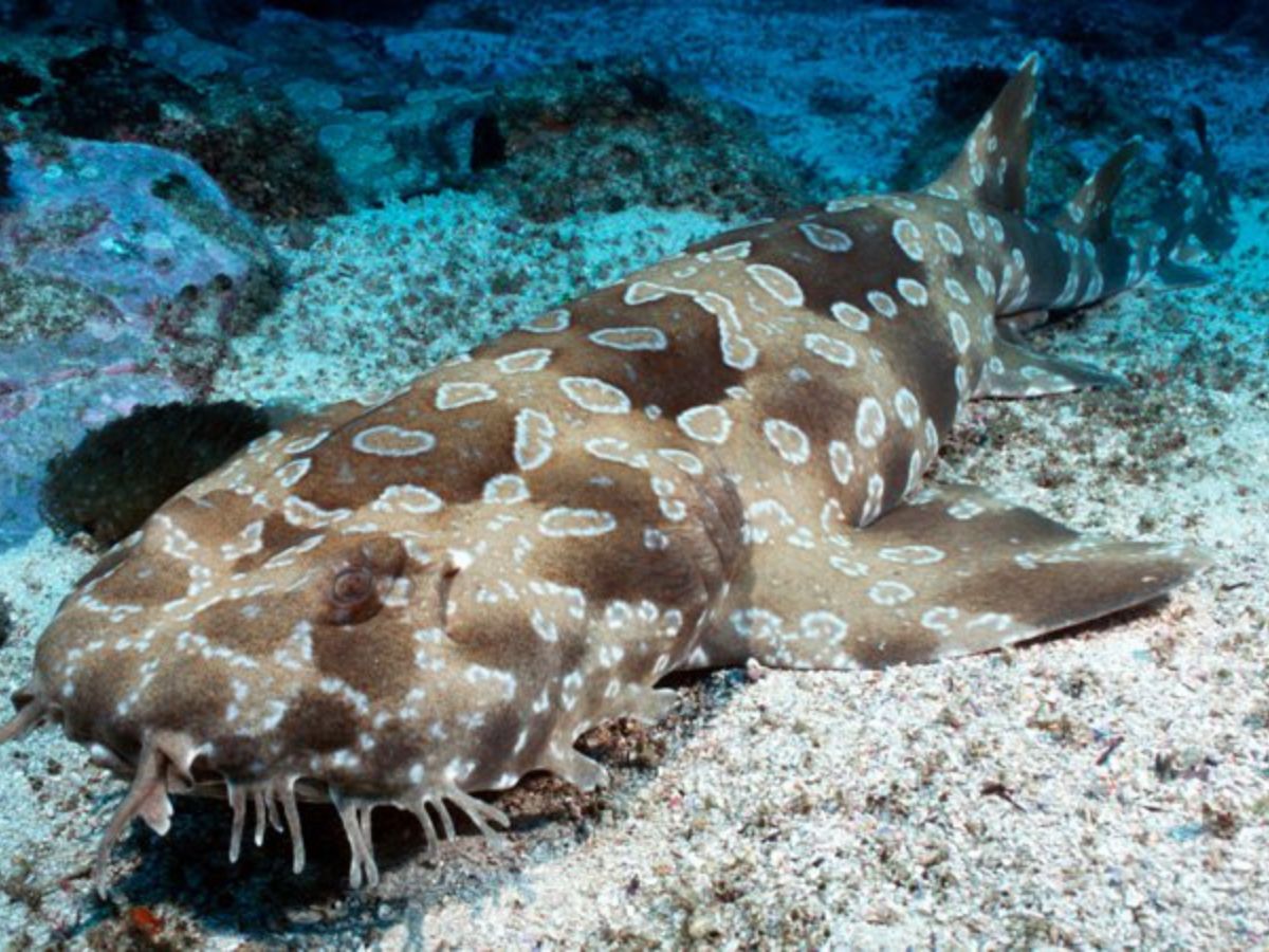 Dive site photo
