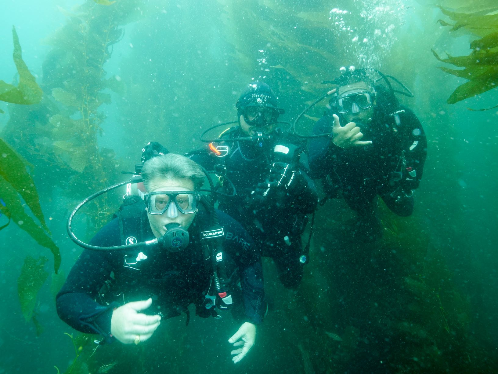 Dive site photo