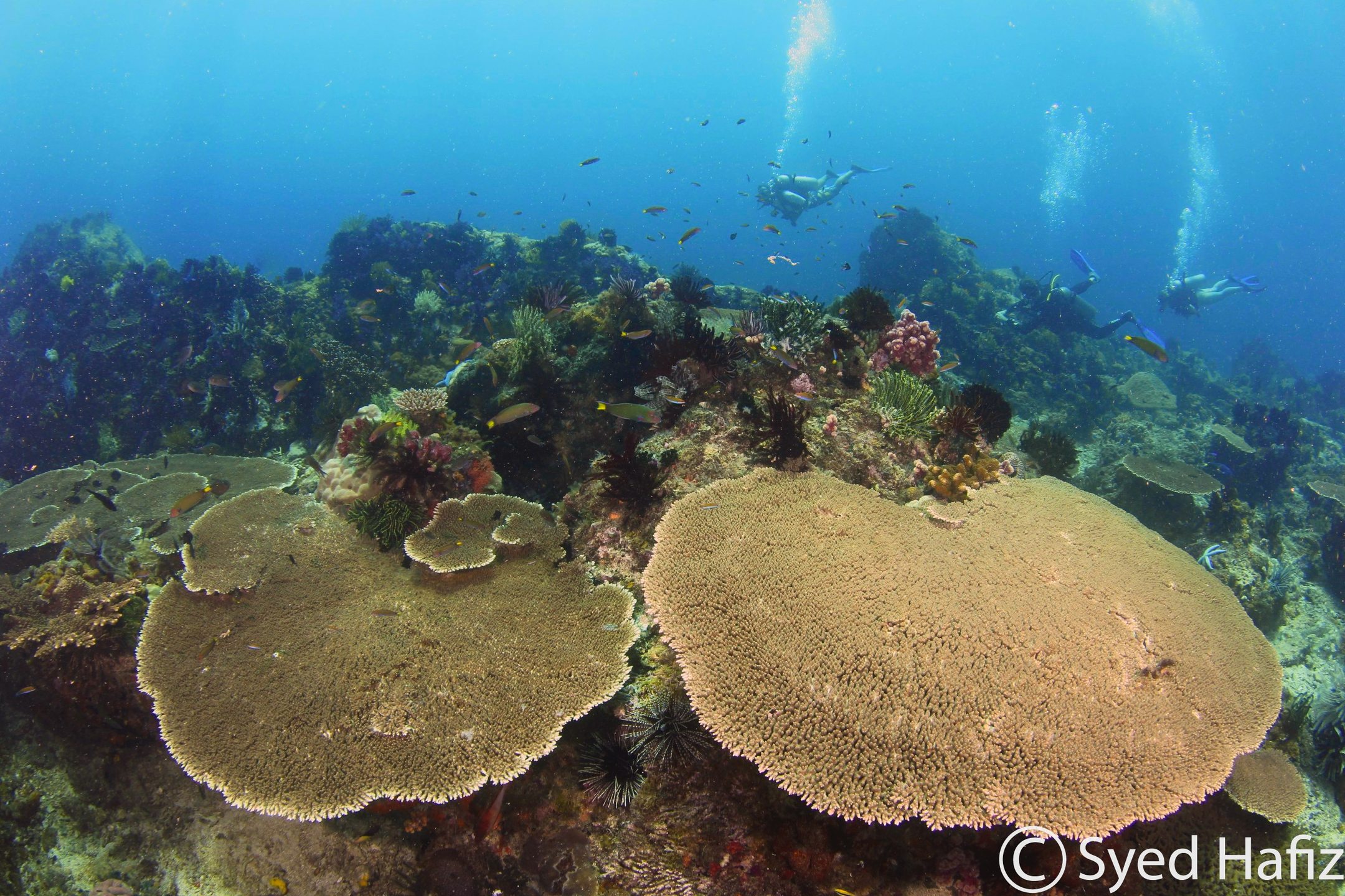 Dive site photo