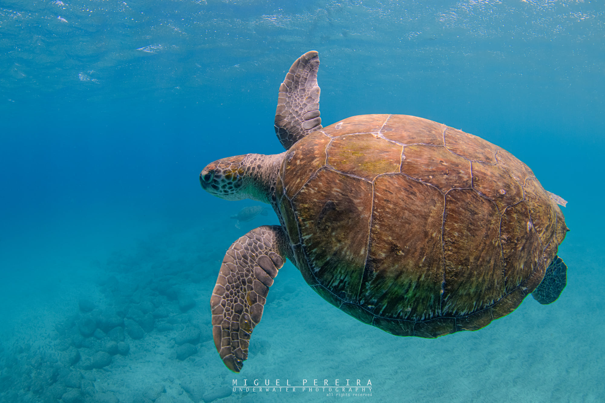 São Pedro São Vicente, Cabo Verde dive site PADI