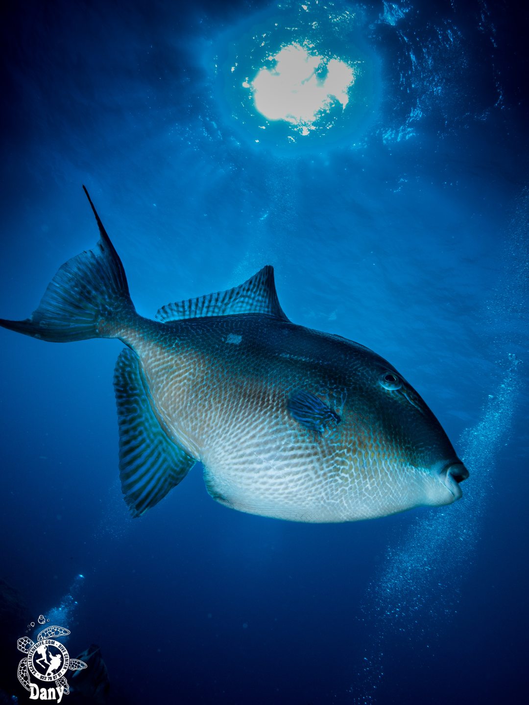 Dive site photo
