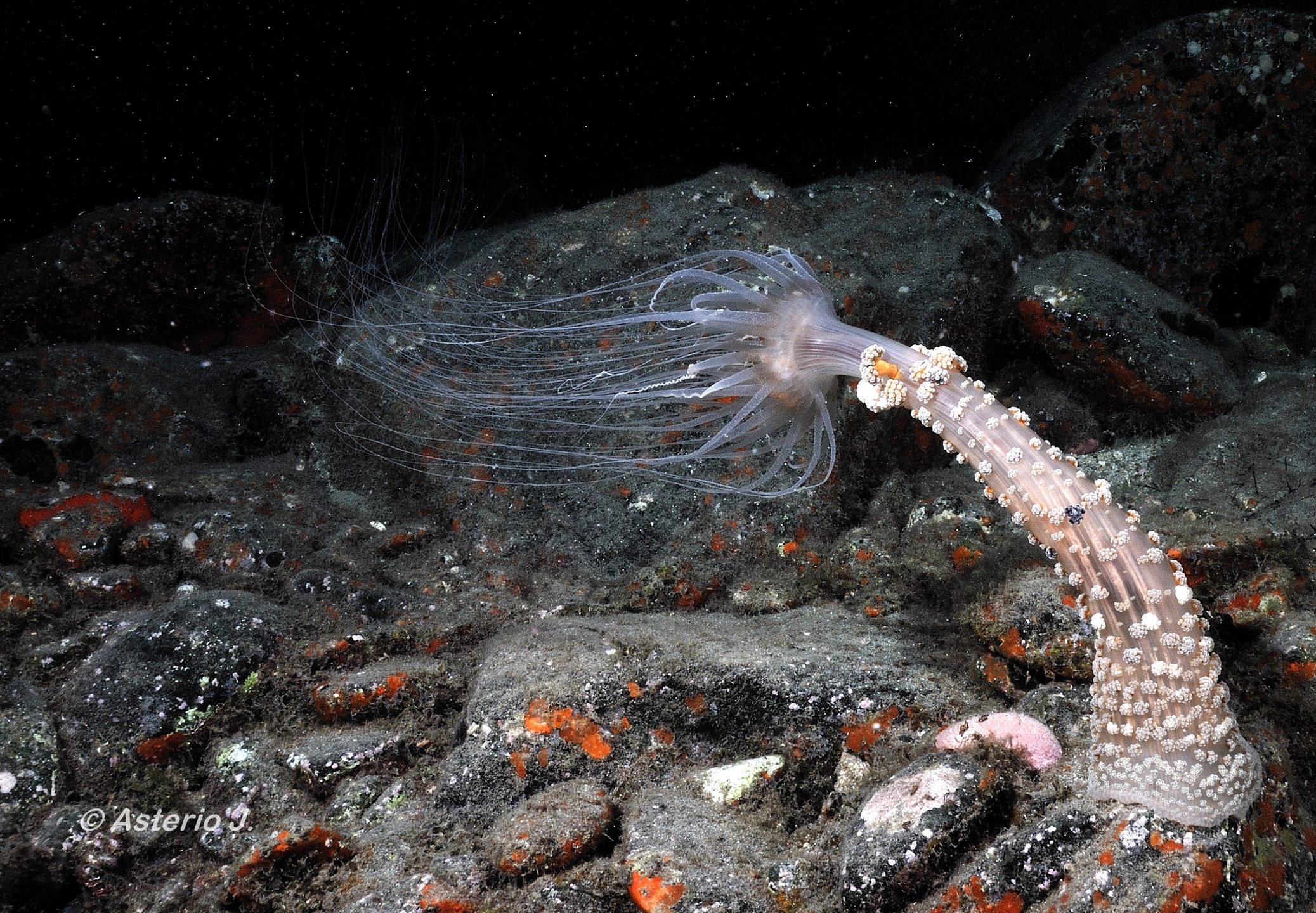 Dive site photo