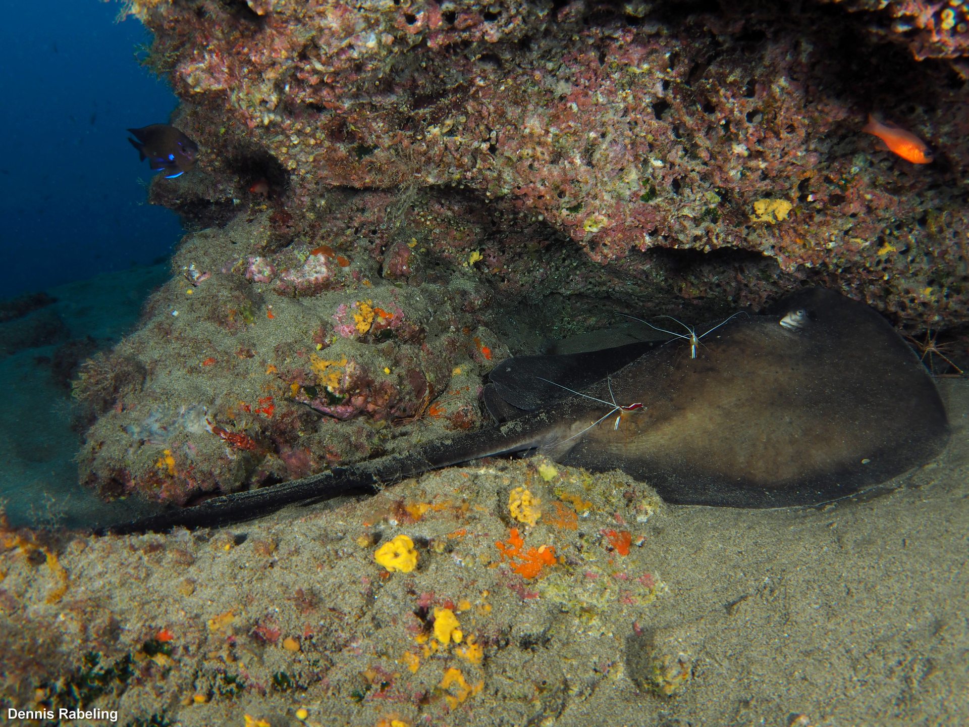 Dive site photo