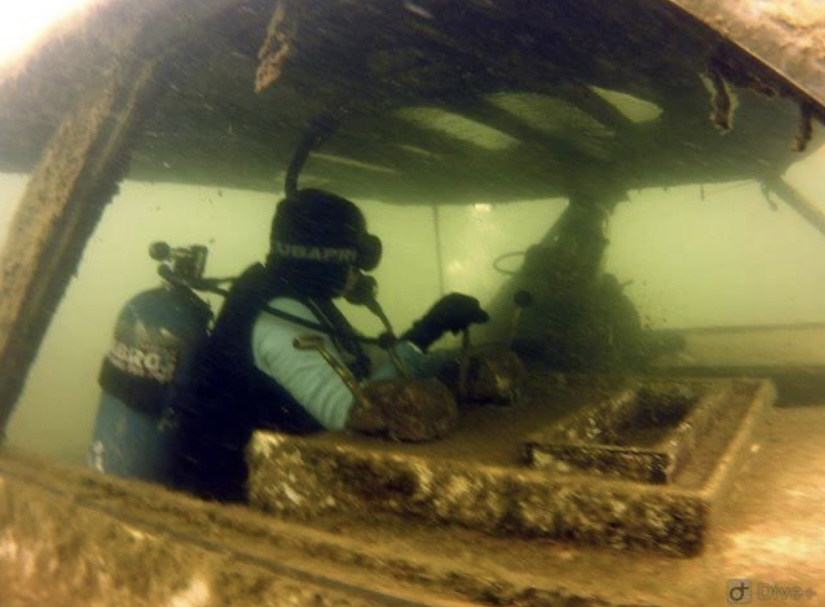 Dive site photo