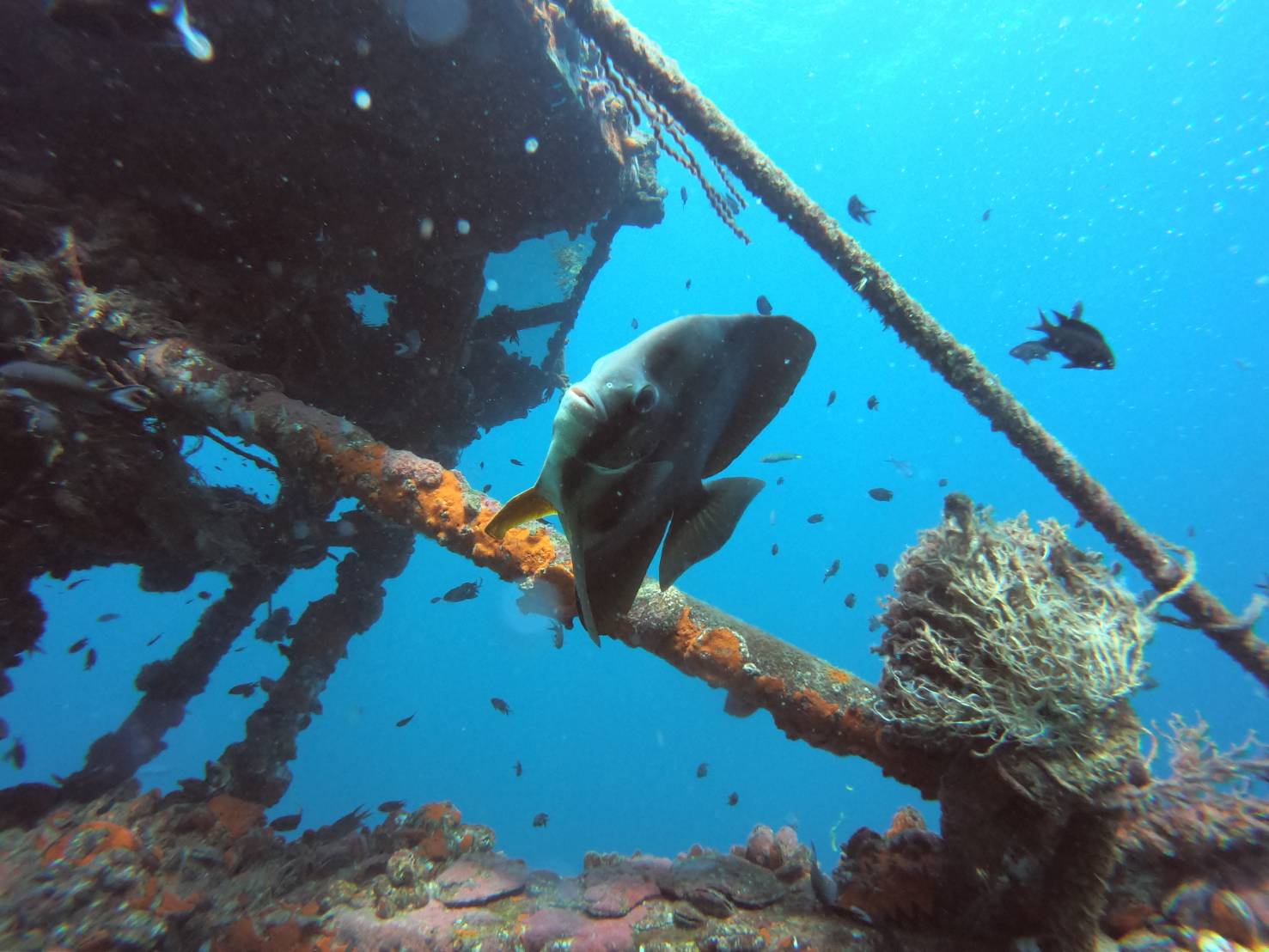 Dive site photo
