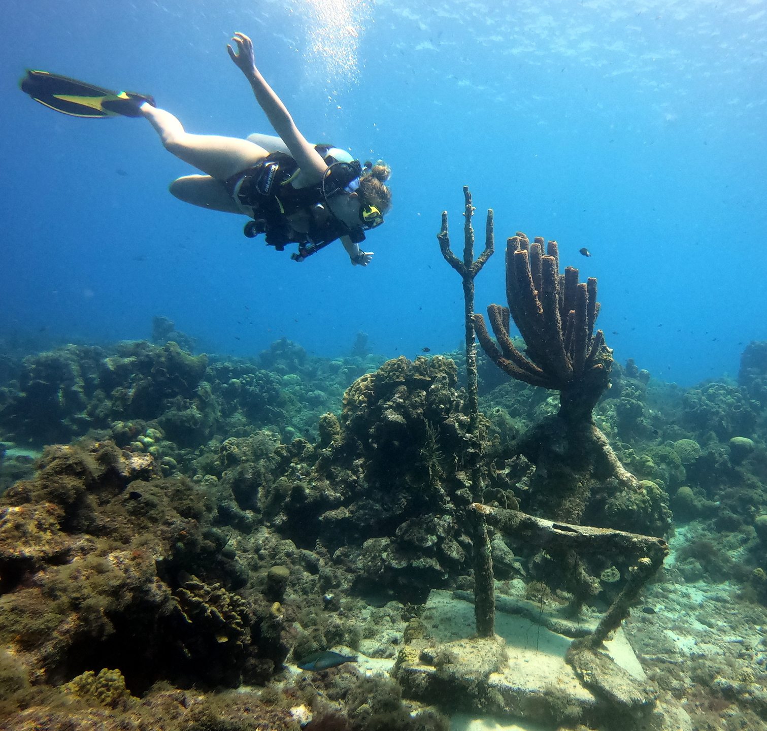Dive site photo