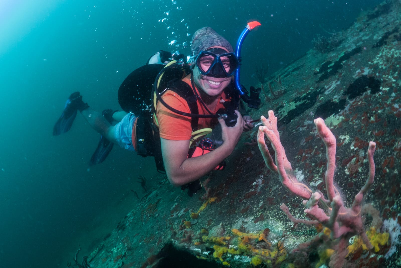 Dive site photo