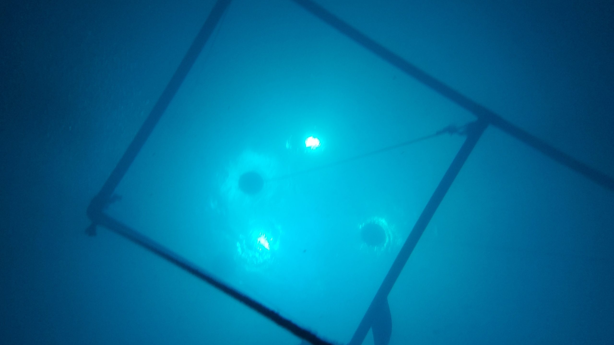 Dive site photo