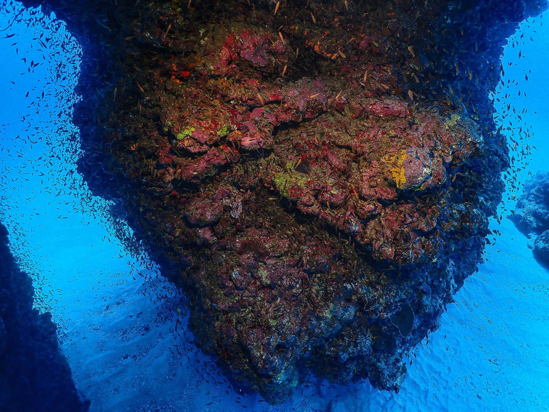 Dive site photo