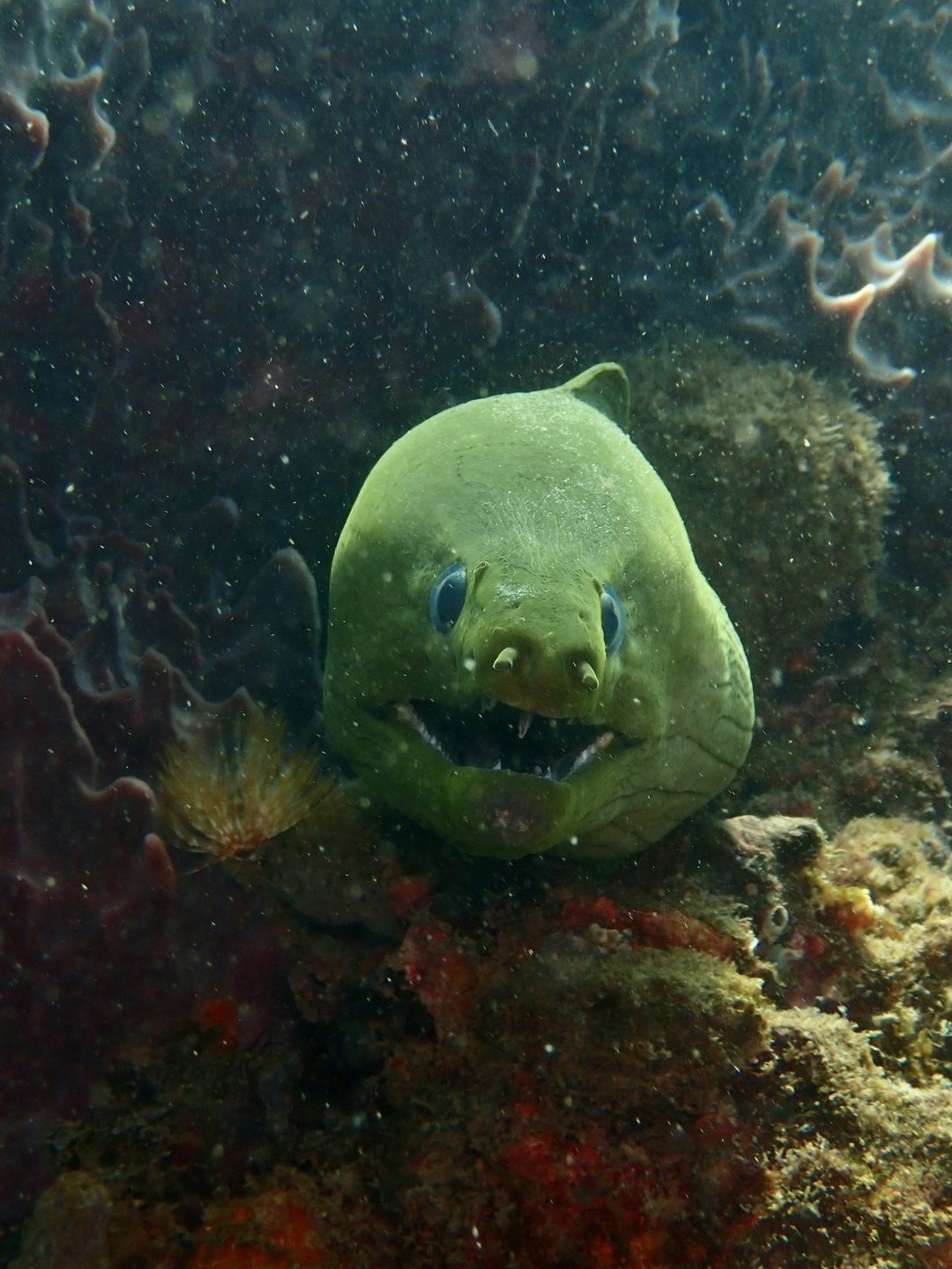 Dive site photo