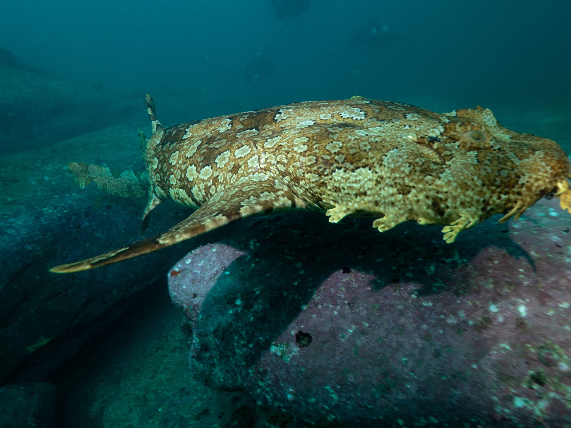 Dive site photo