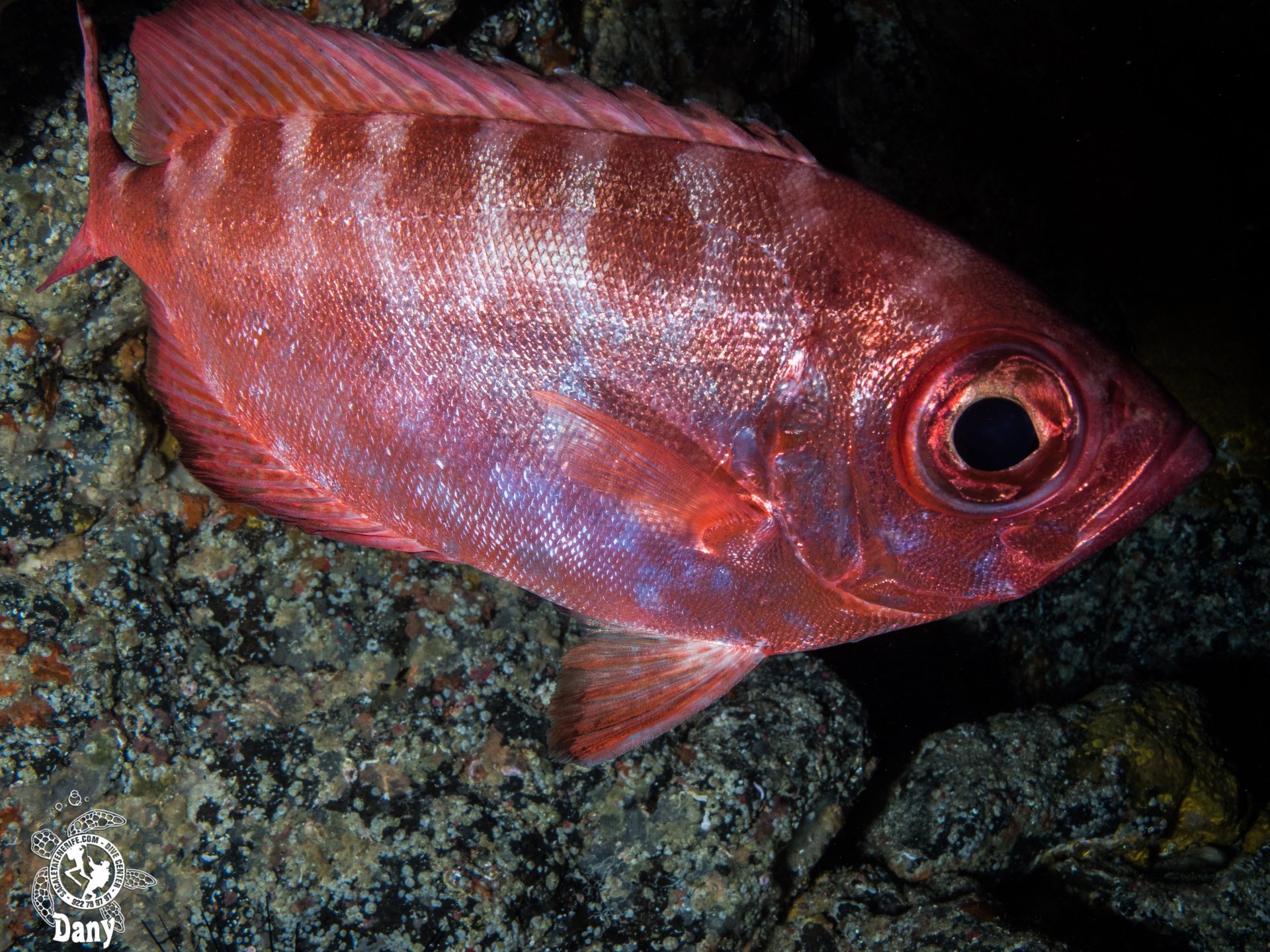 Dive site photo