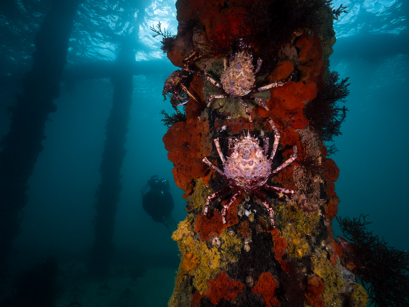 Dive site photo
