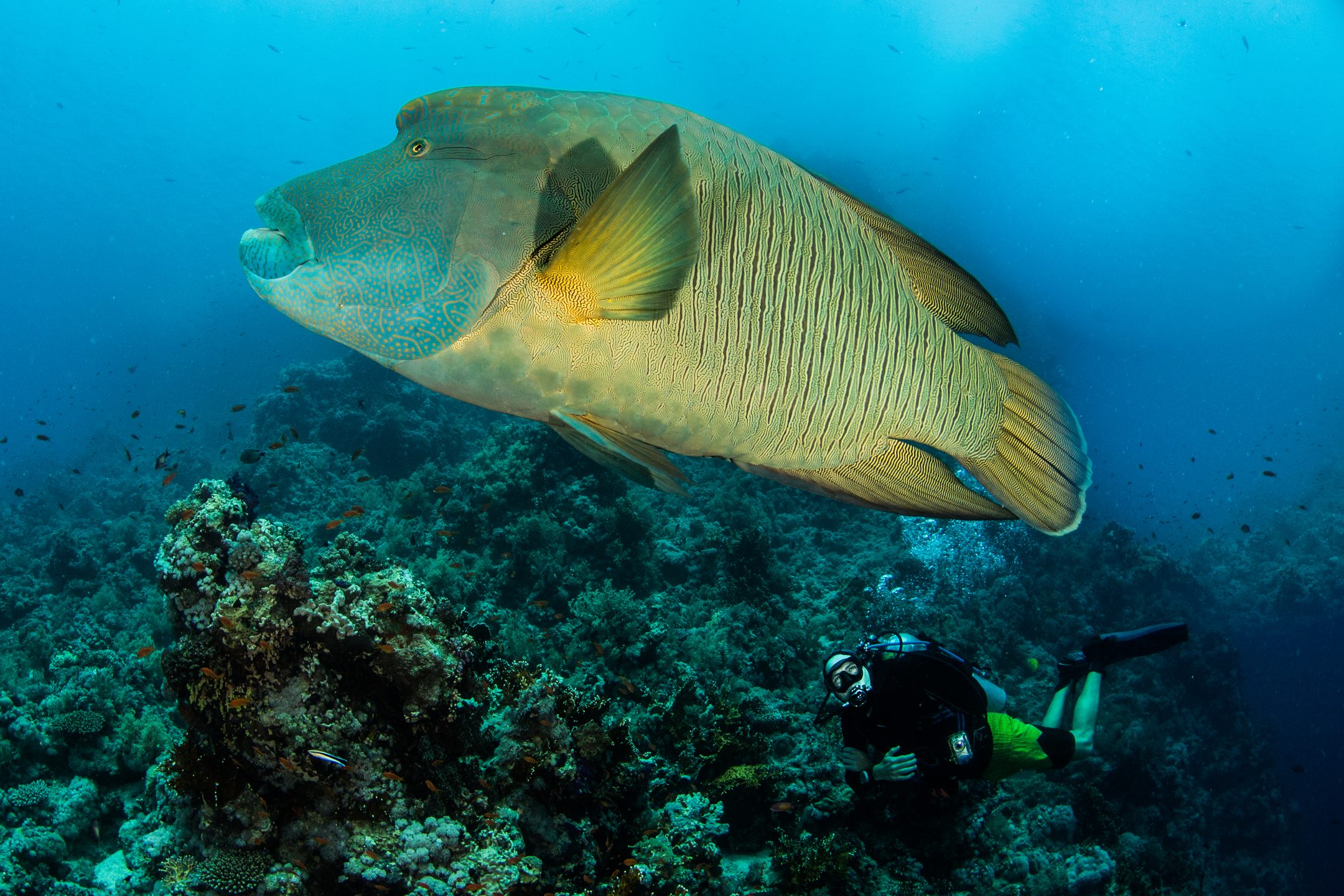 Dive site photo