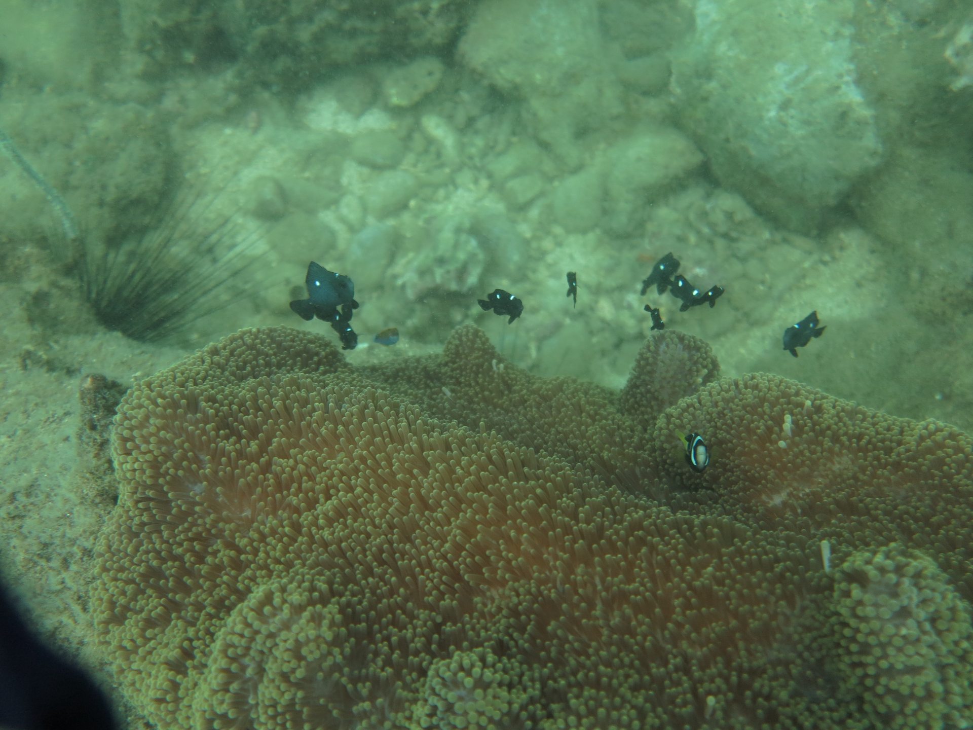 Cemetery Bay