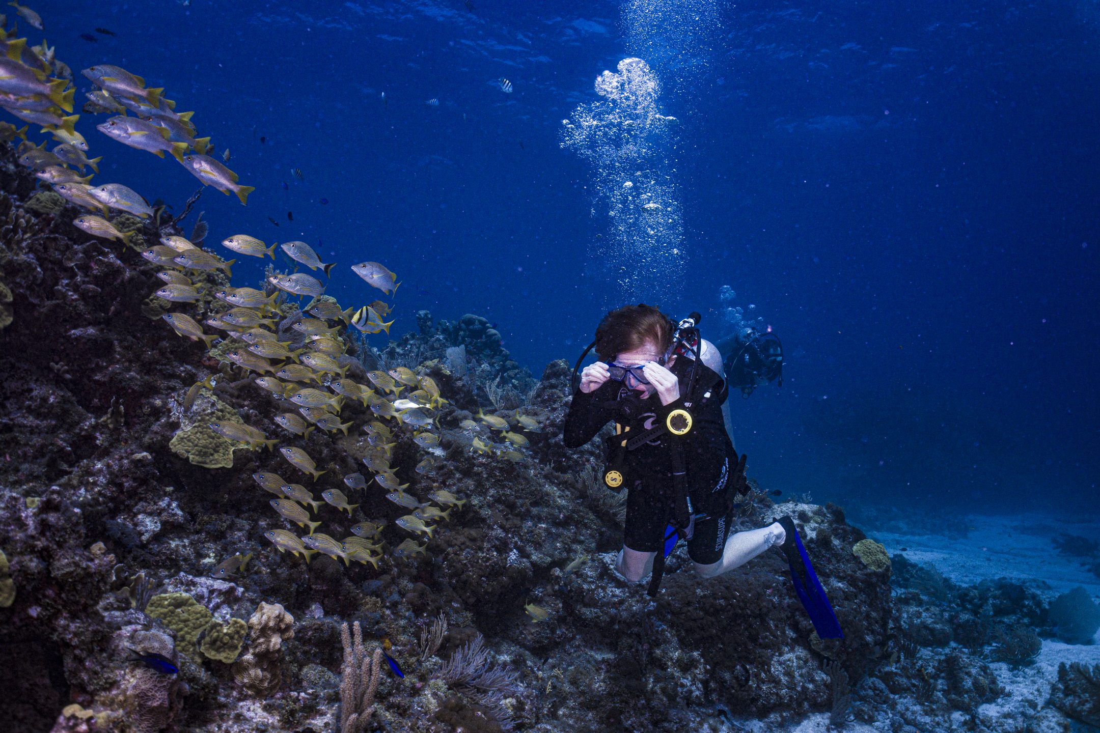 Dive site photo