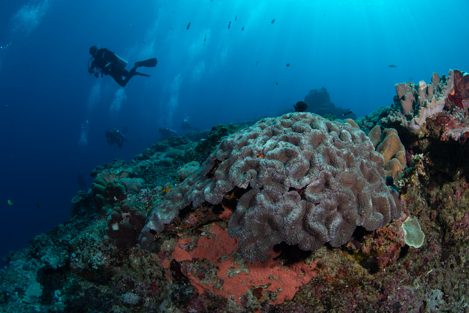 Dive site photo