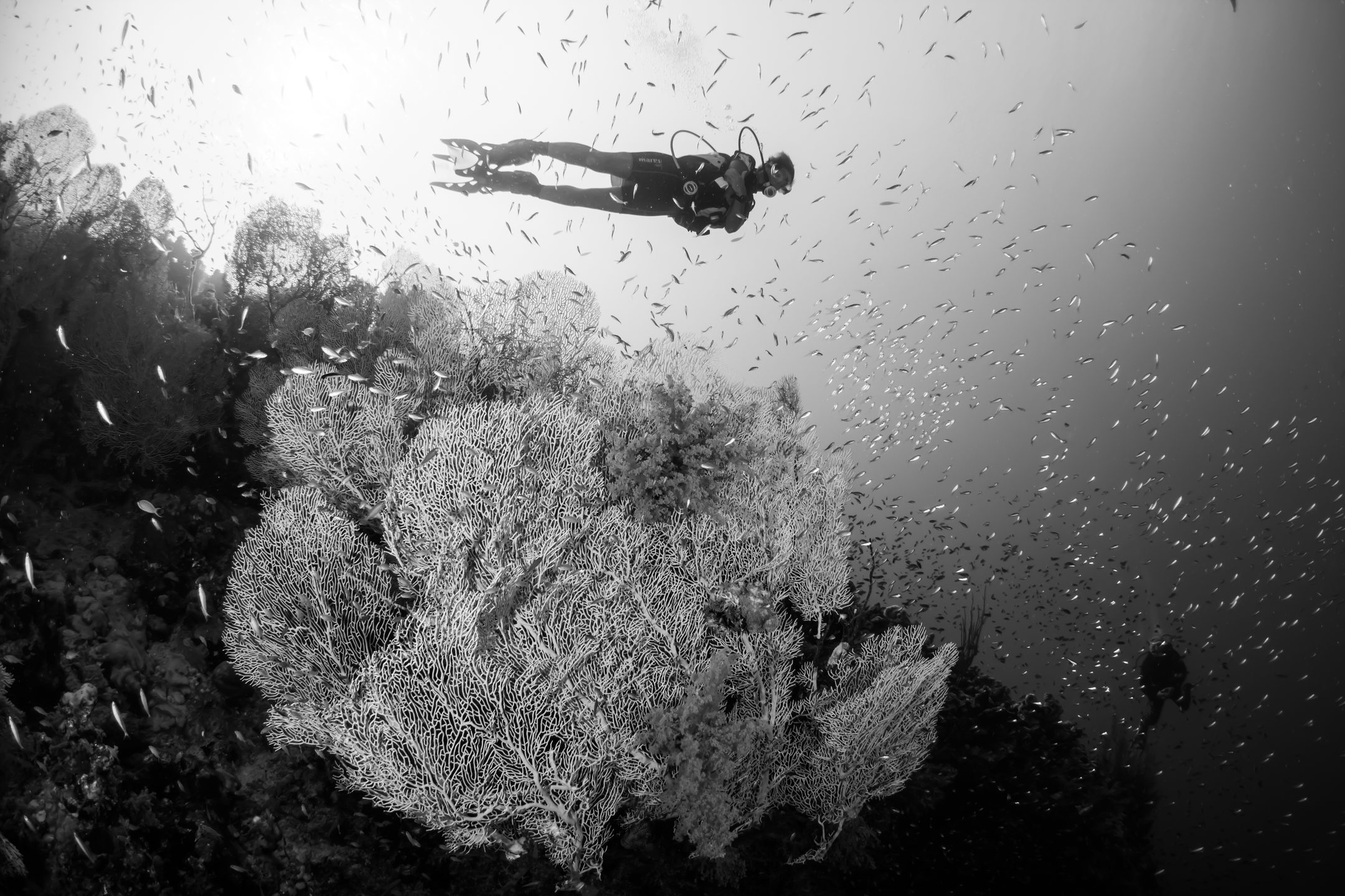 Dive site photo