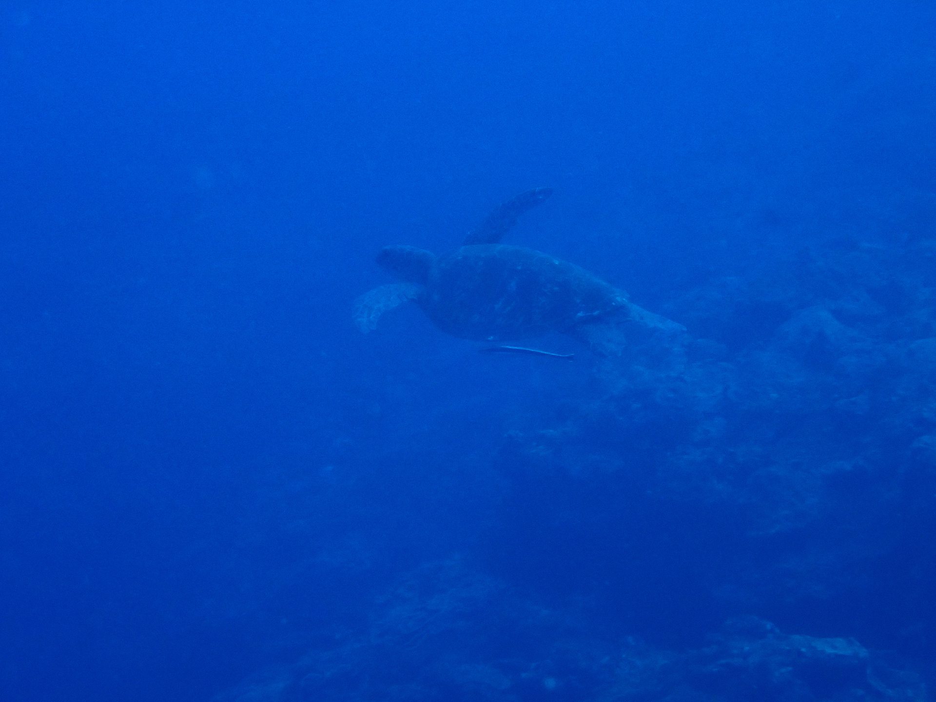 Dive site photo