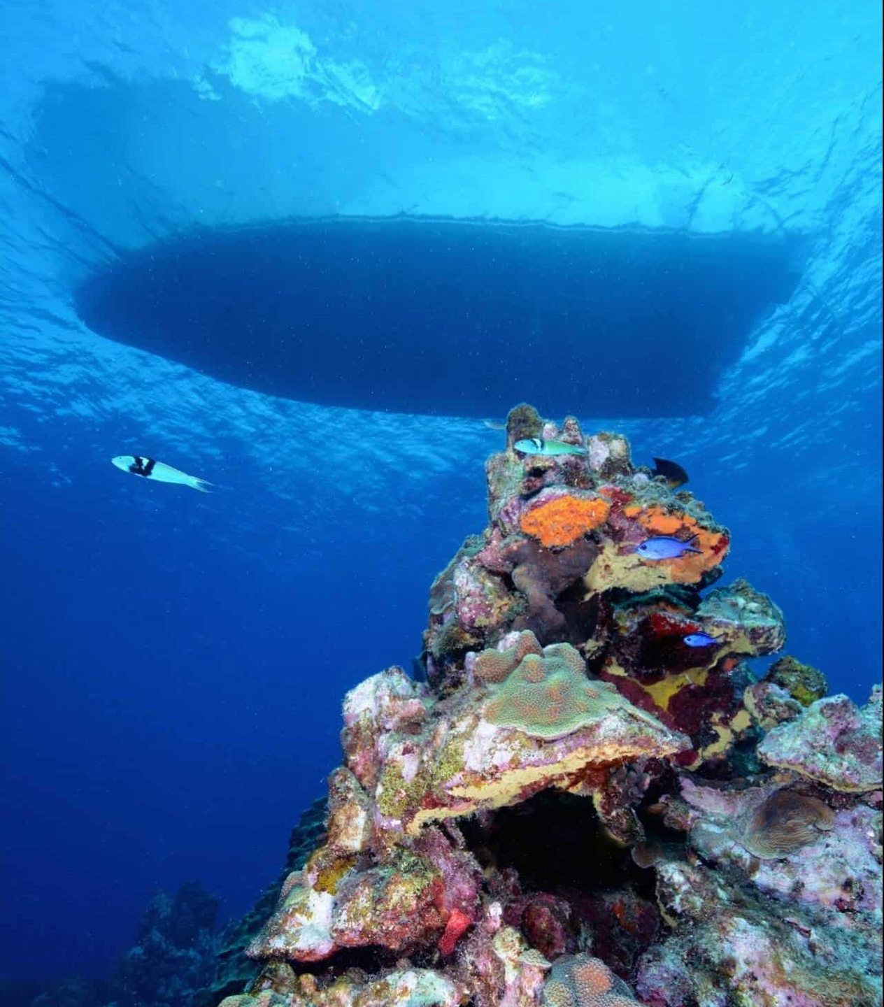 Dive site photo