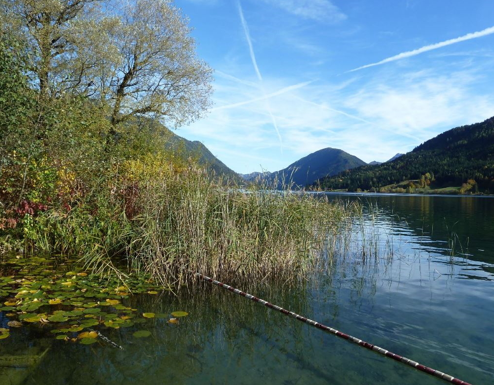 Dive site photo