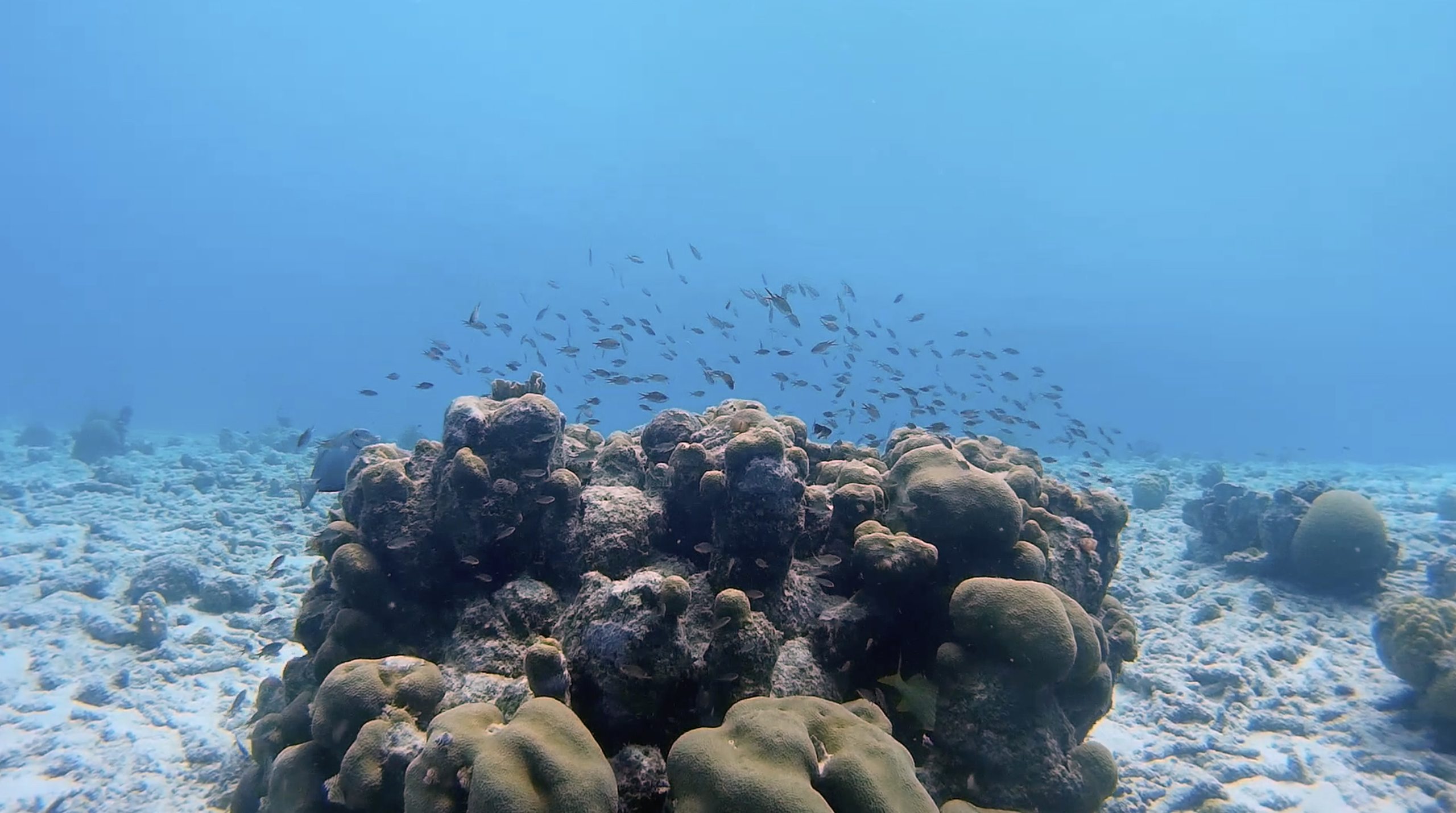 Dive site photo