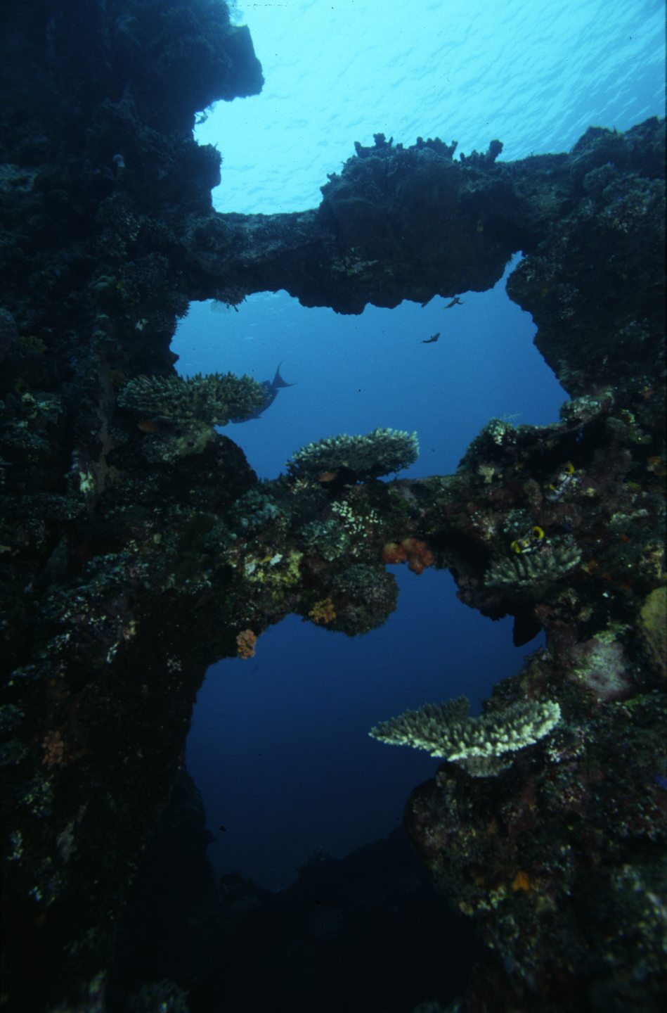 Dive site photo