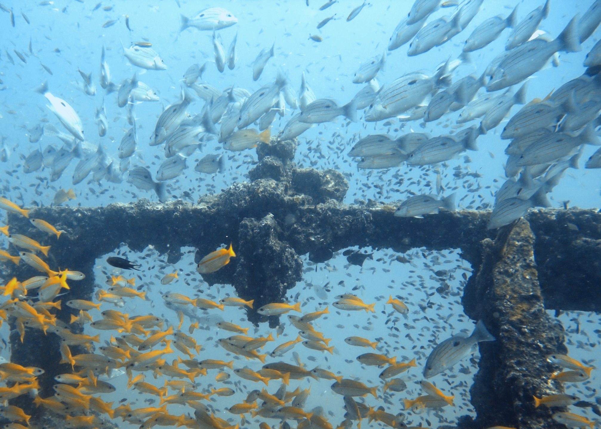 Bangsak Wreck