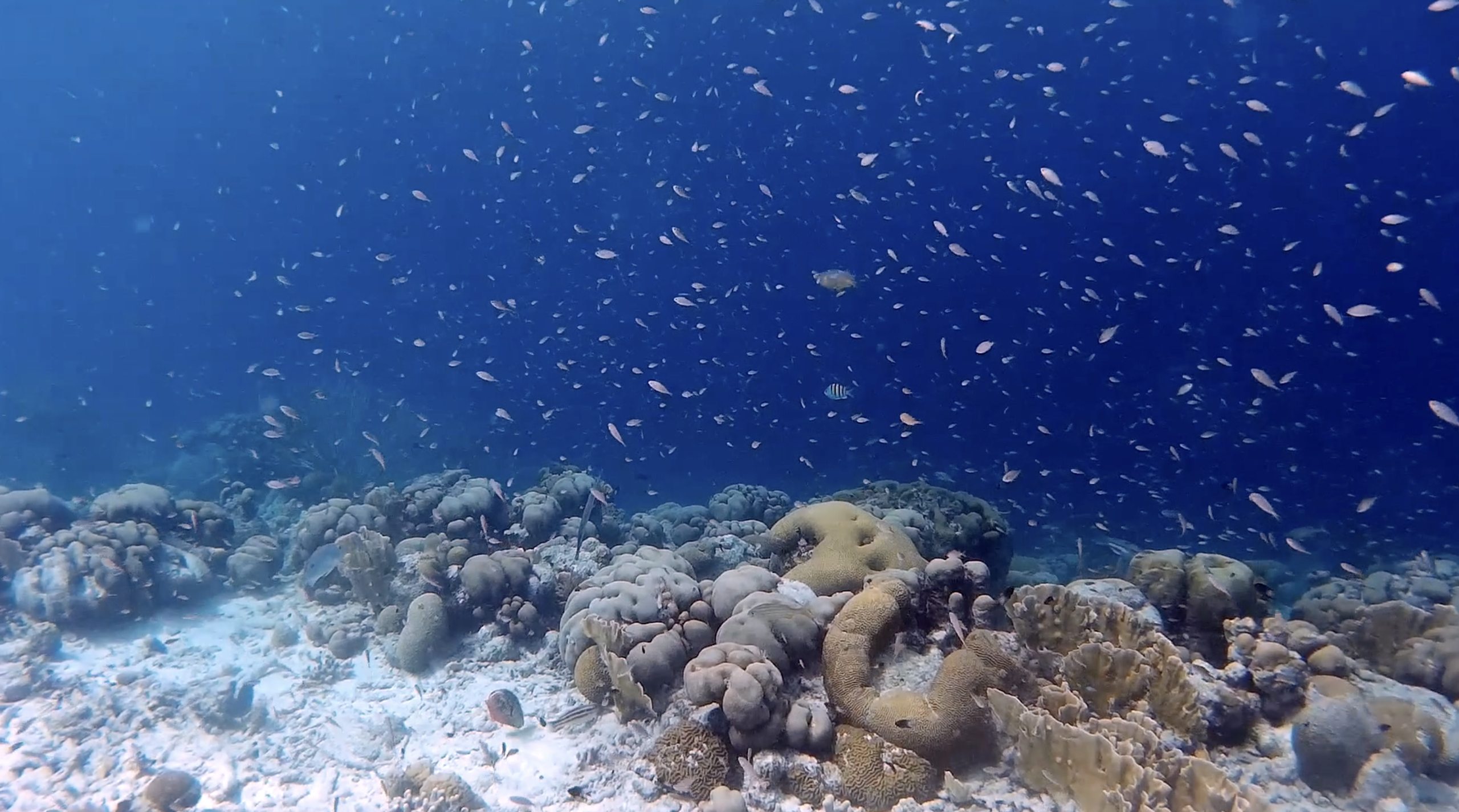 Dive site photo