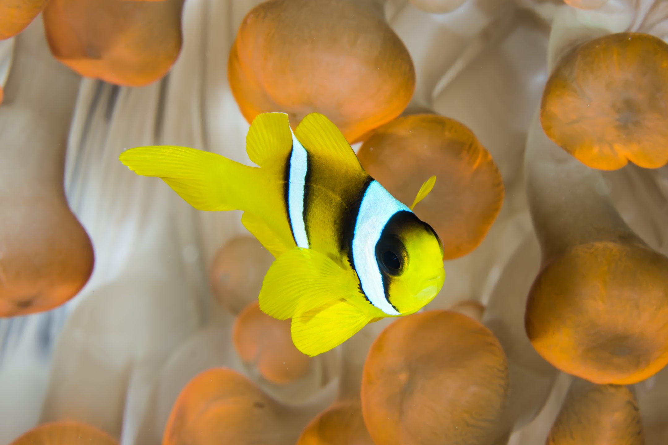 Dive site photo