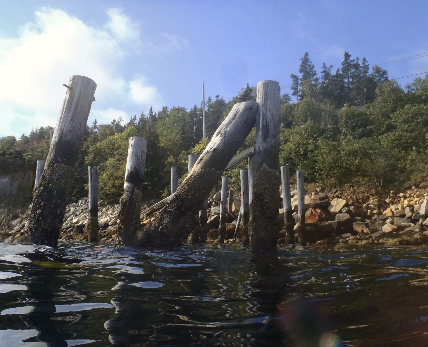 Dive site photo
