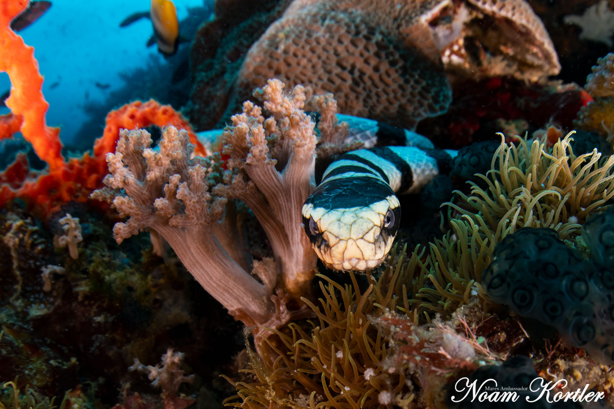 Dive site photo
