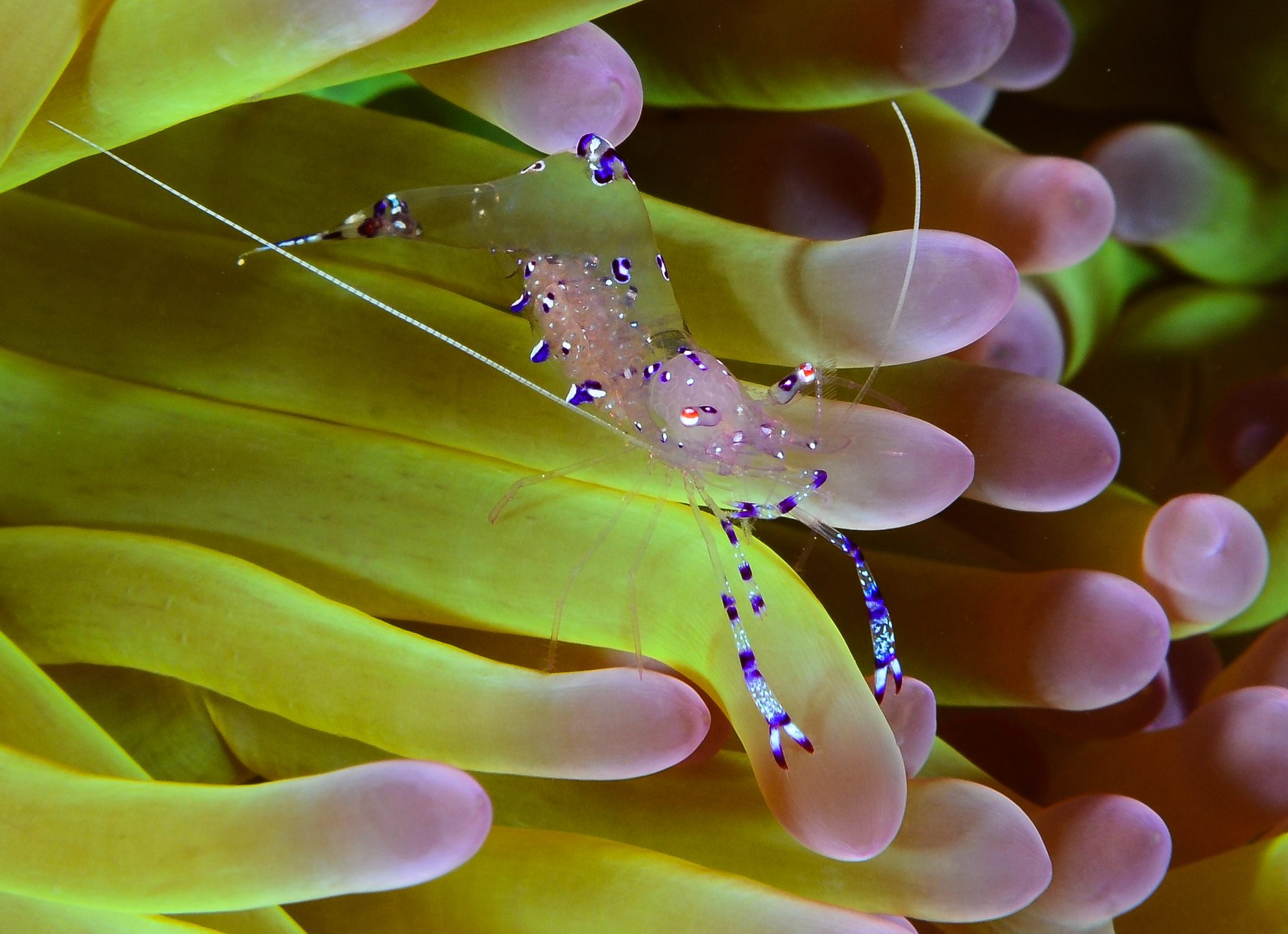 Dive site photo