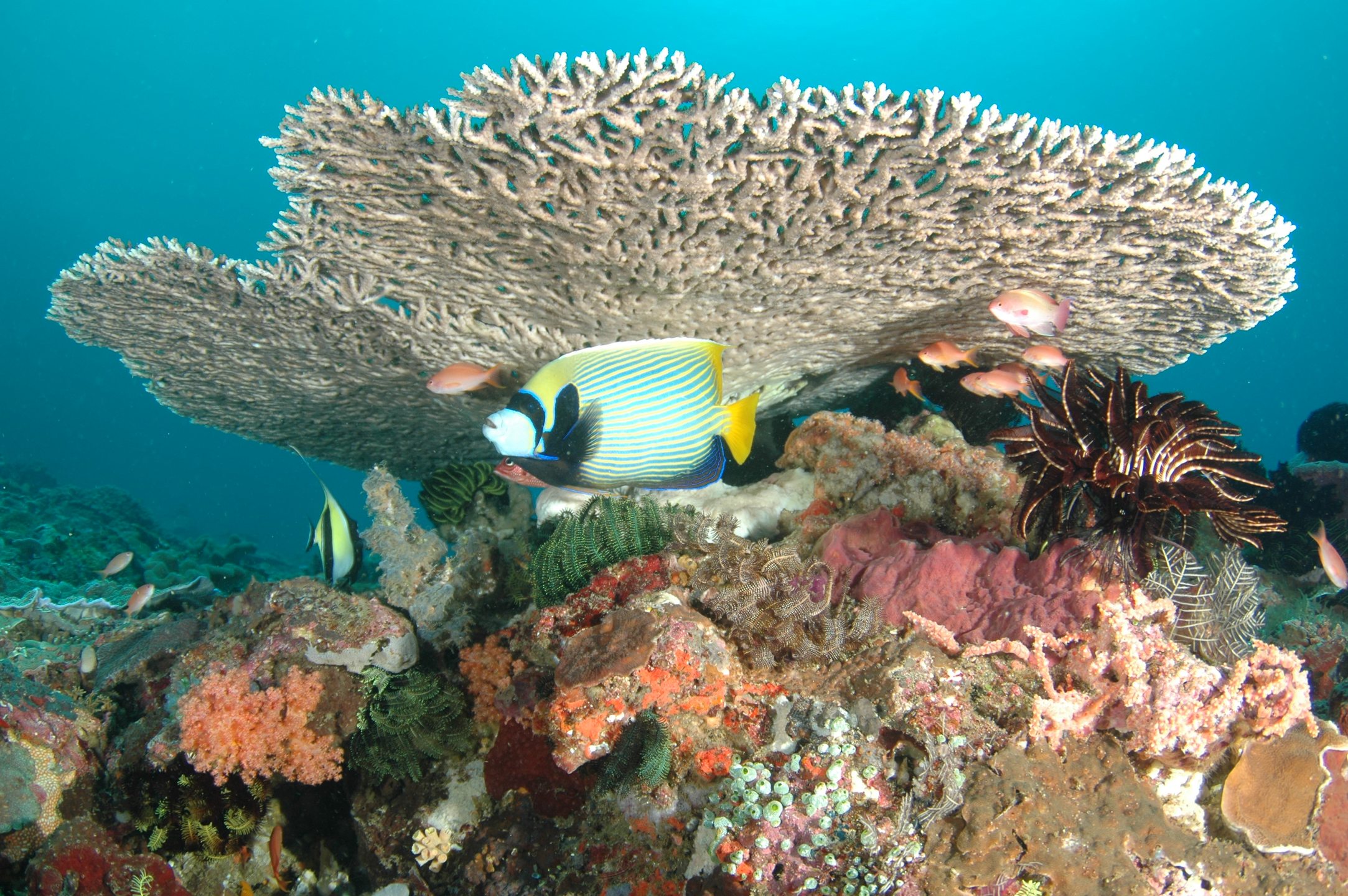 Dive site photo