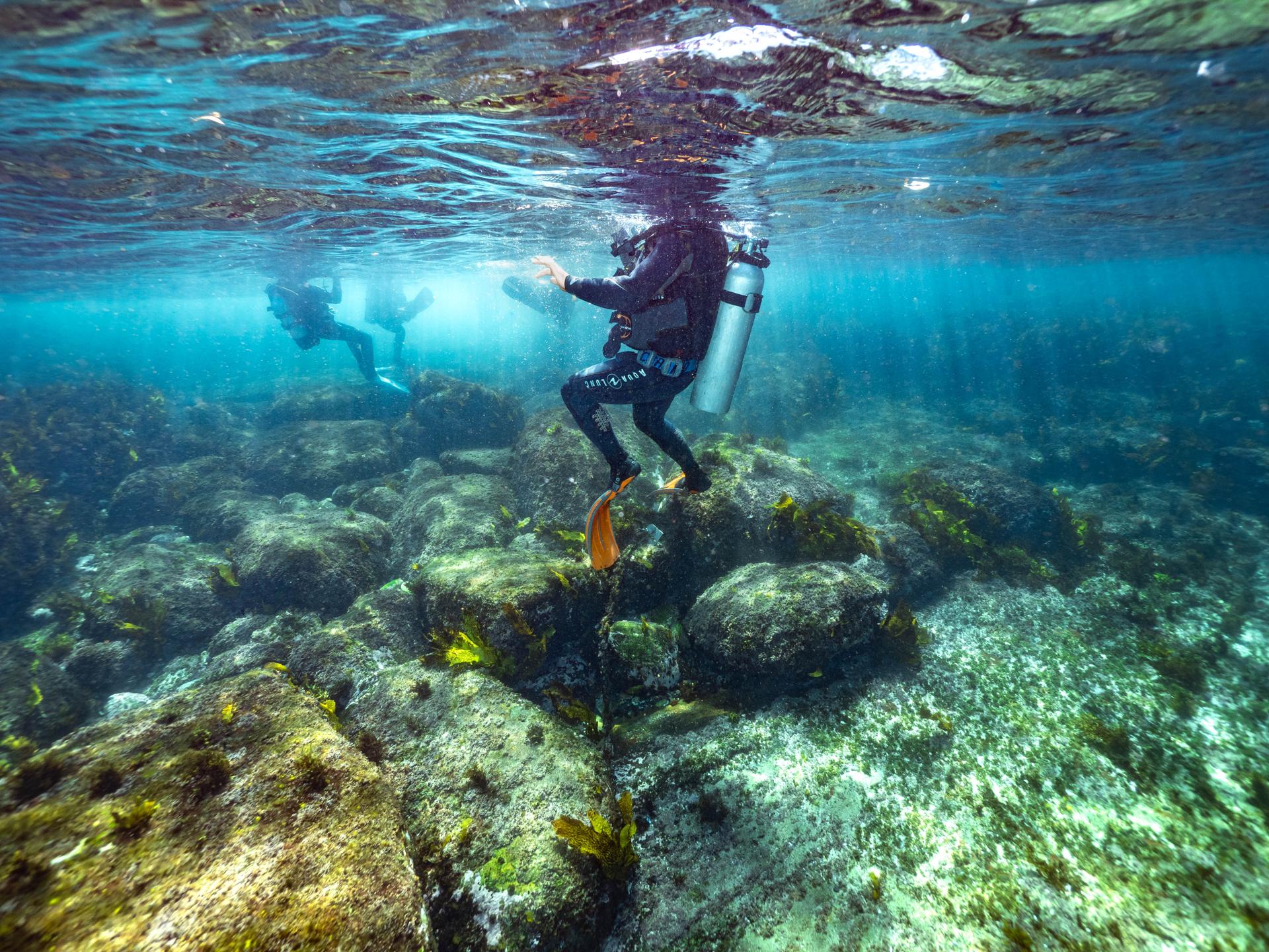Dive site photo