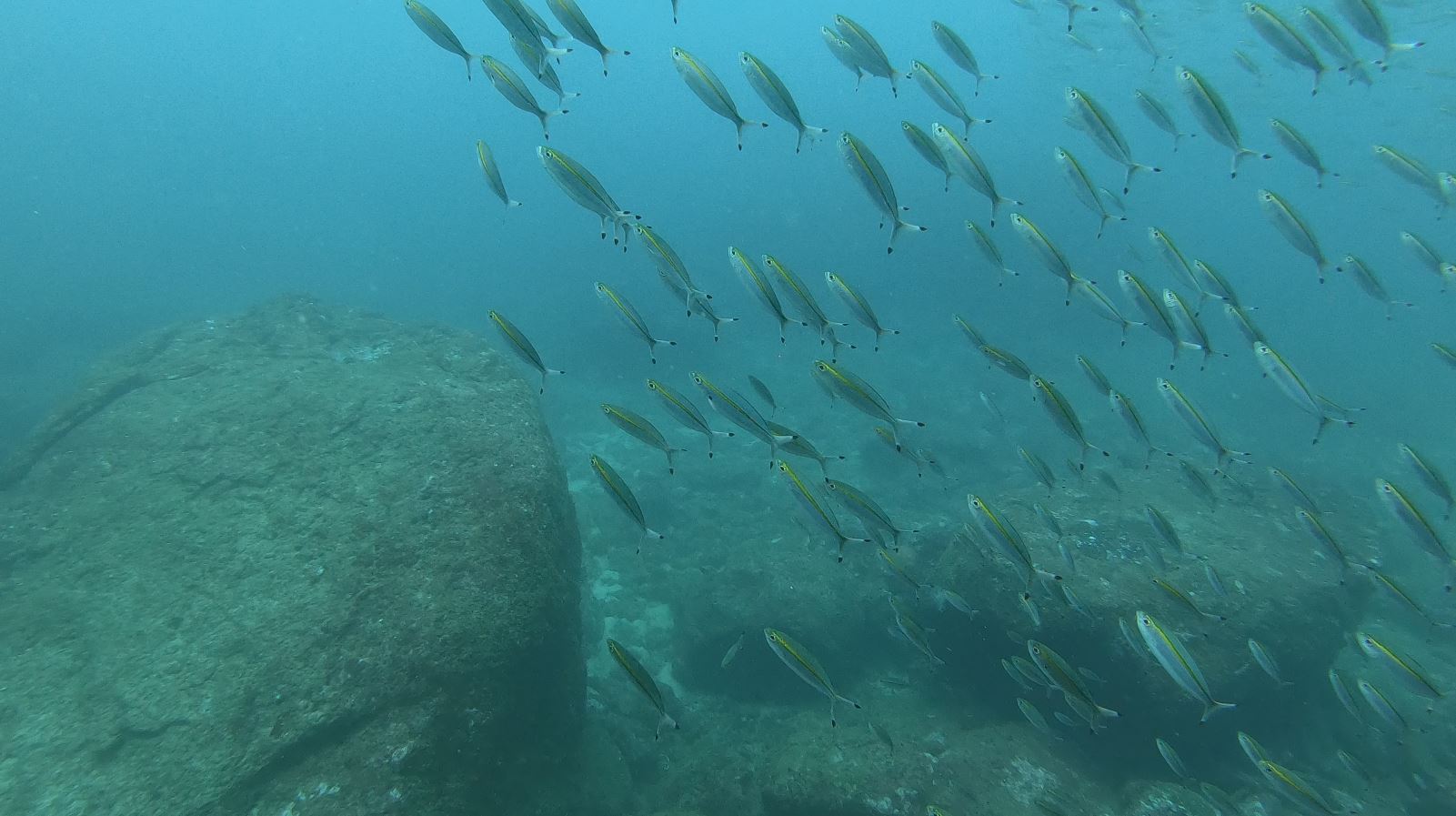 Dive site photo