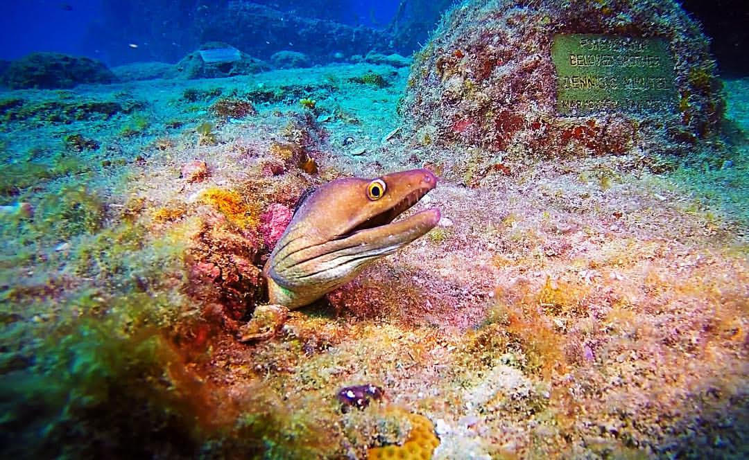 Dive site photo
