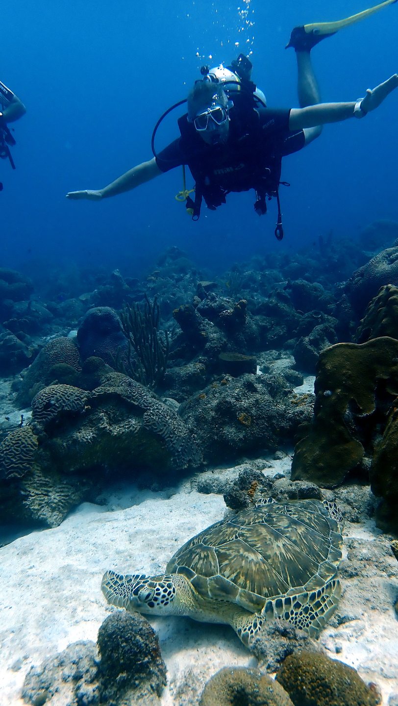 Dive site photo