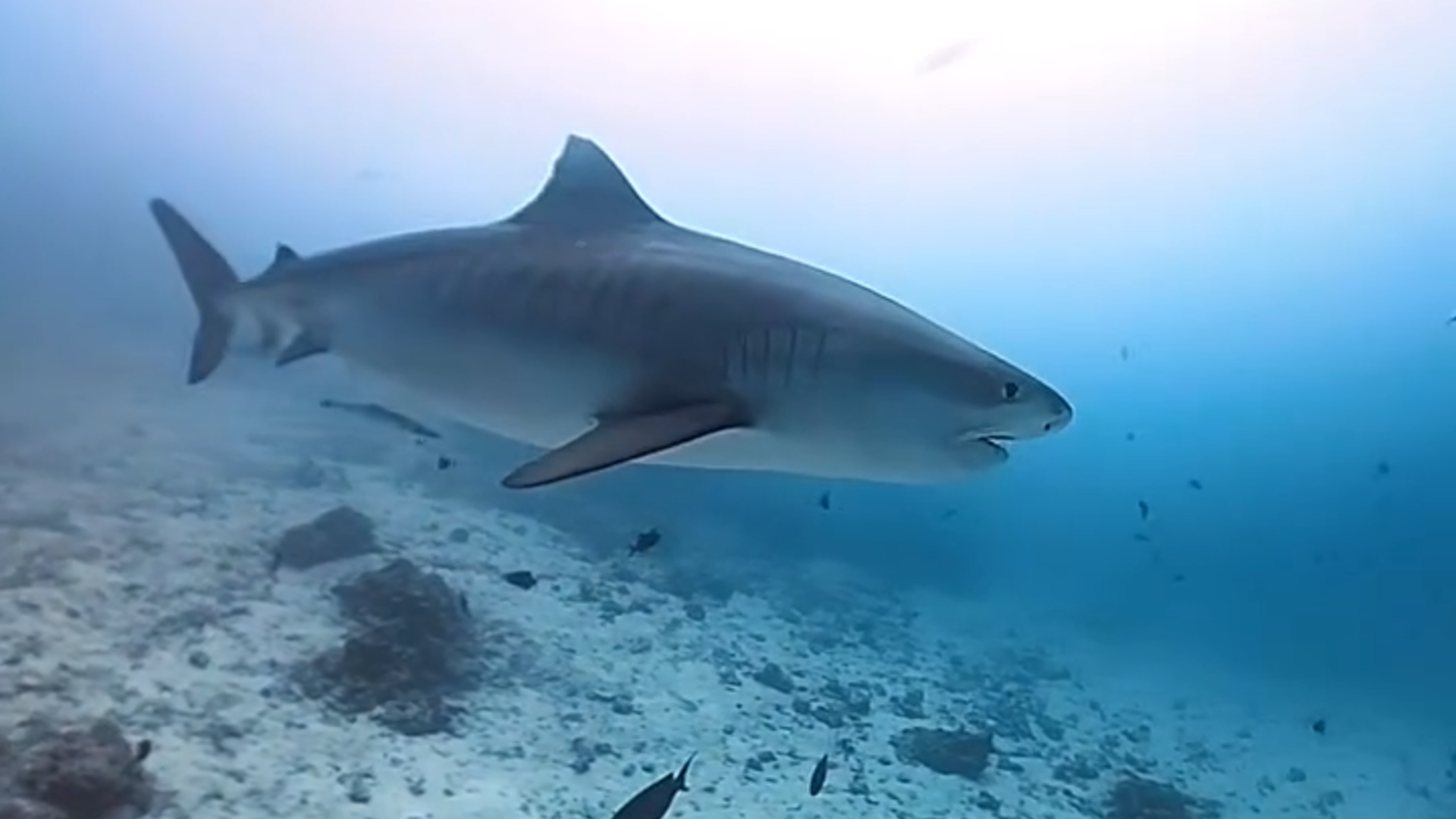 Dive site photo
